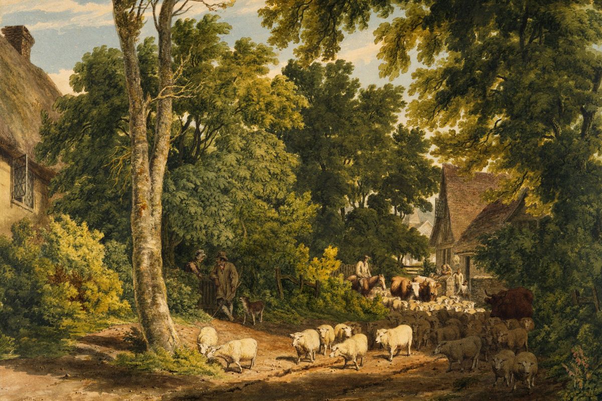 Rural scene with sheep being herded on a dirt path, surrounded by trees and thatched cottages.